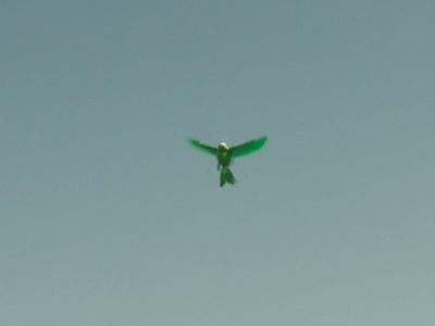 003.png